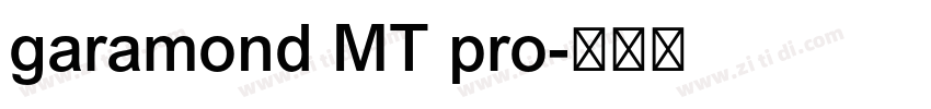 garamond MT pro字体转换